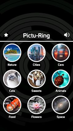 Pictu-Ring The Circle Puzzle - Screenshot 1