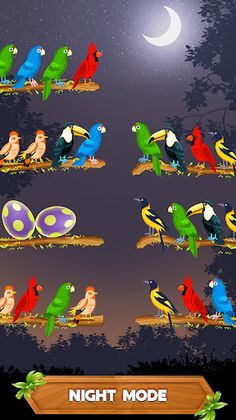 Bird Sorting: Color Puzzle - Screenshot 4