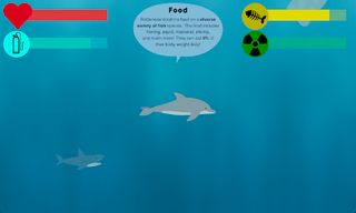 Marine Mammal Mania - Screenshot 3