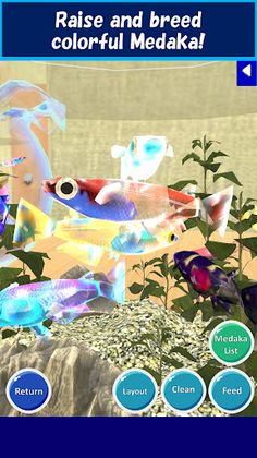 Medaka Breeder - Screenshot 1