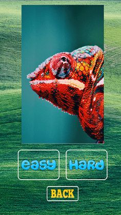 Animals Puzzle - Screenshot 3