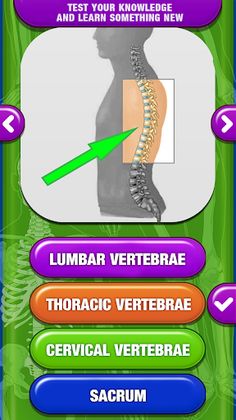 Human Body Anatomy Quiz - Screenshot 2