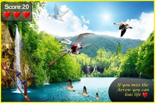 Bird Hunting - Screenshot 2
