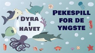 Dyra i havet - Screenshot 1
