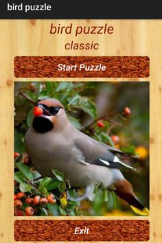 bird puzzle - Screenshot 1