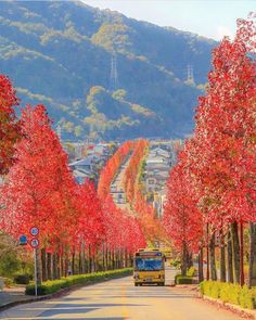 Jigsaw Puzzles Classic - Screenshot 2