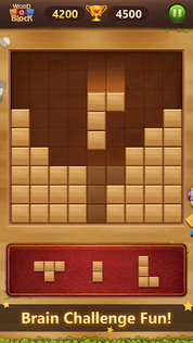 Wood Block Puzzle Classic - Screenshot 3