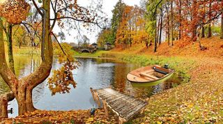 Autumn City Park Escape - Screenshot 1