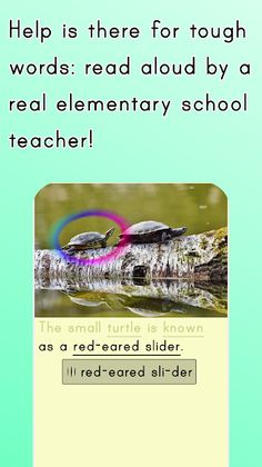 Chunky Sentences Variety Pack - Screenshot 4