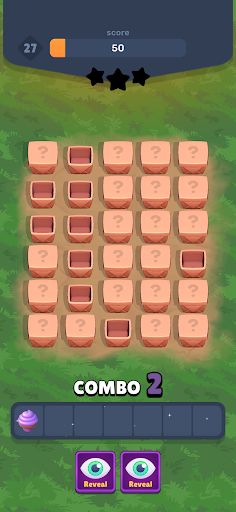 Hidden Pair! - Screenshot 4