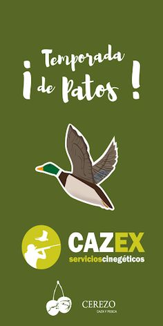 Cazex RA - Screenshot 1