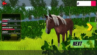 Wild Horse Family Simulator - Screenshot 1
