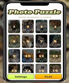 Photo Puzzle Game - Screenshot 3