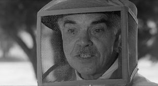 The Wasp Woman - Screenshot 3