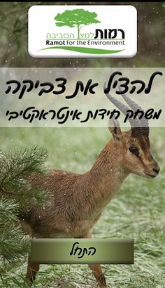 Save Tsvika - Screenshot 2