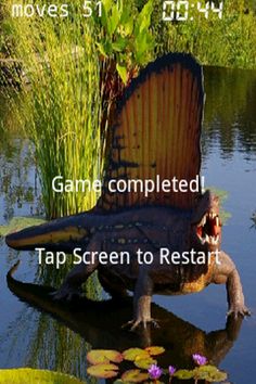 Slide Puzzle + - Screenshot 3