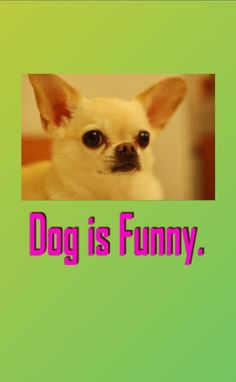 DogIsfunny - Screenshot 3