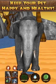 Virtual Pet Elephant - Screenshot 4