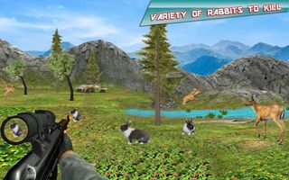 Rabbit Hunting Challenge - Screenshot 1