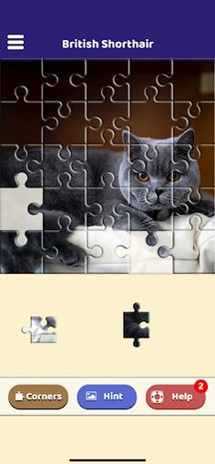 British Shorthair Puzzle - Screenshot 4
