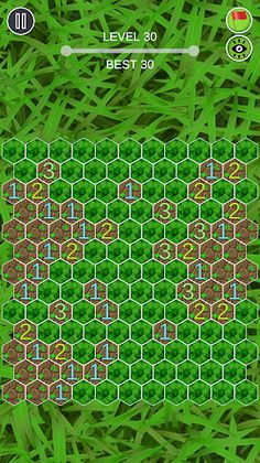 Hexagon Minesweeper - Screenshot 4