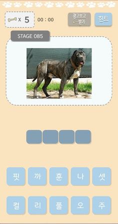 모까모까 댕댕이 퀴즈 - Screenshot 2