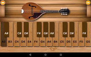 Professional Mandolin Elite - Screenshot 1
