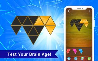 Tri Block: Triangle Puzzle - Screenshot 1
