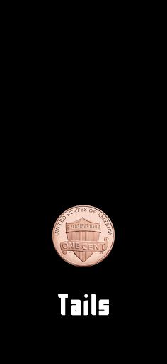 Coin Toss - Screenshot 2