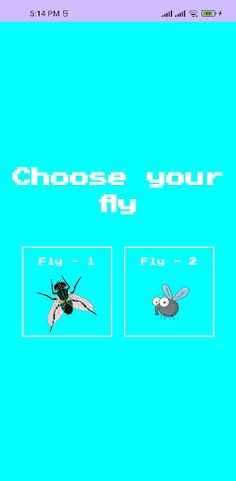 Catch The Fly - Screenshot 2