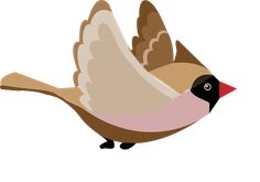 Amazing Bird - Screenshot 4