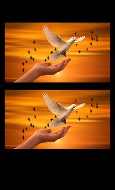 Scary Prank Jumpscare! (Find T - Screenshot 4