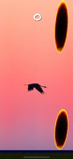 SilhouetteBird - Screenshot 3