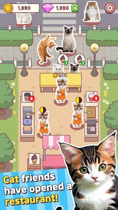 Cute Cat restaurant - Screenshot 1