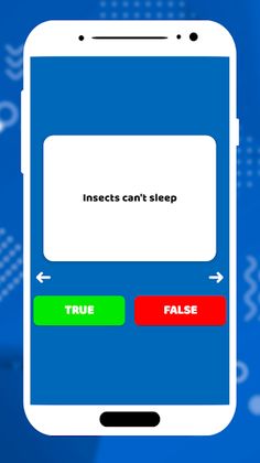 True or False Questions - Screenshot 2