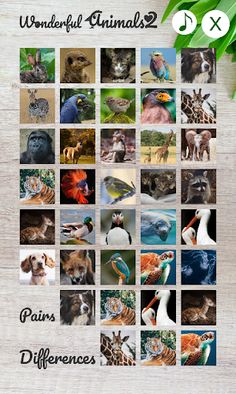 Wonderful Animals 2 - Screenshot 1