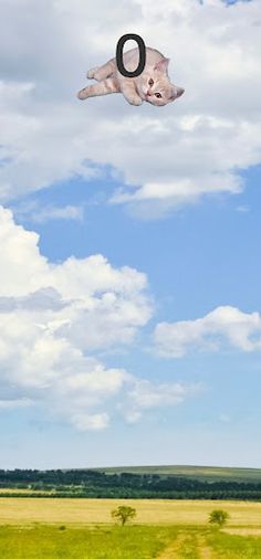 FlyCat - Screenshot 1