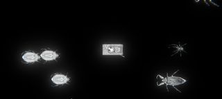 Bugs Killer! Tap to shoot - Screenshot 1