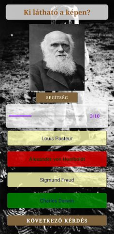 Töri Kvíz - Screenshot 4