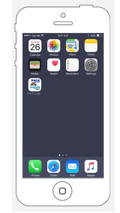 PSLE English Set A - Screenshot 1