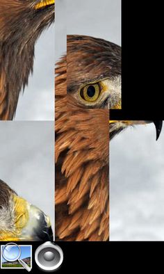 Animals Games Pro for kids - Screenshot 3