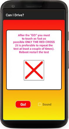 Can I Drive? Basic - Screenshot 4