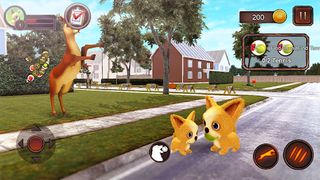 Chihuahua Dog Simulator - Screenshot 2