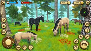 Wild Horse Games Survival Sim - Screenshot 3