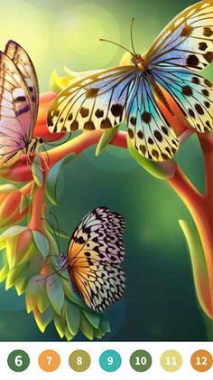 Butterfly Paint by Number Game - Screenshot 2