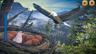 Flying Bird Eagle Simulator 3D - Screenshot 1