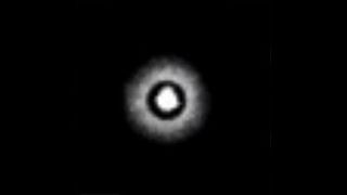 Back to Fazbear's pizzeria - Screenshot 1