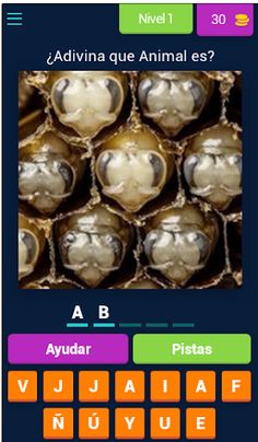¡Mundo Animal! Animalia - Screenshot 1