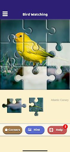 Bird Watching Puzzle - Screenshot 1