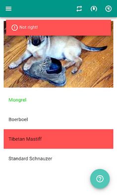 Dog Breeds (quiz) - Screenshot 3